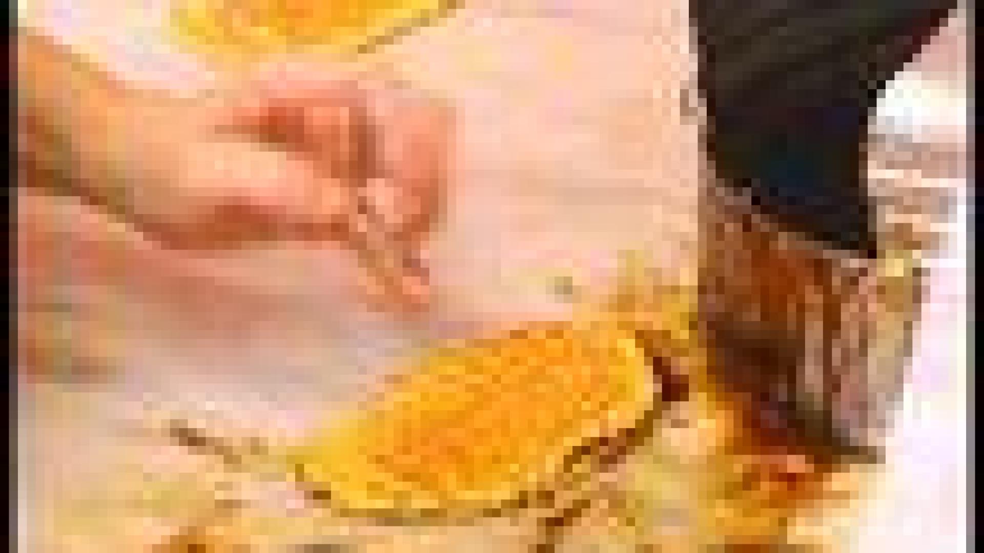 Le Lacquemant au Larousse